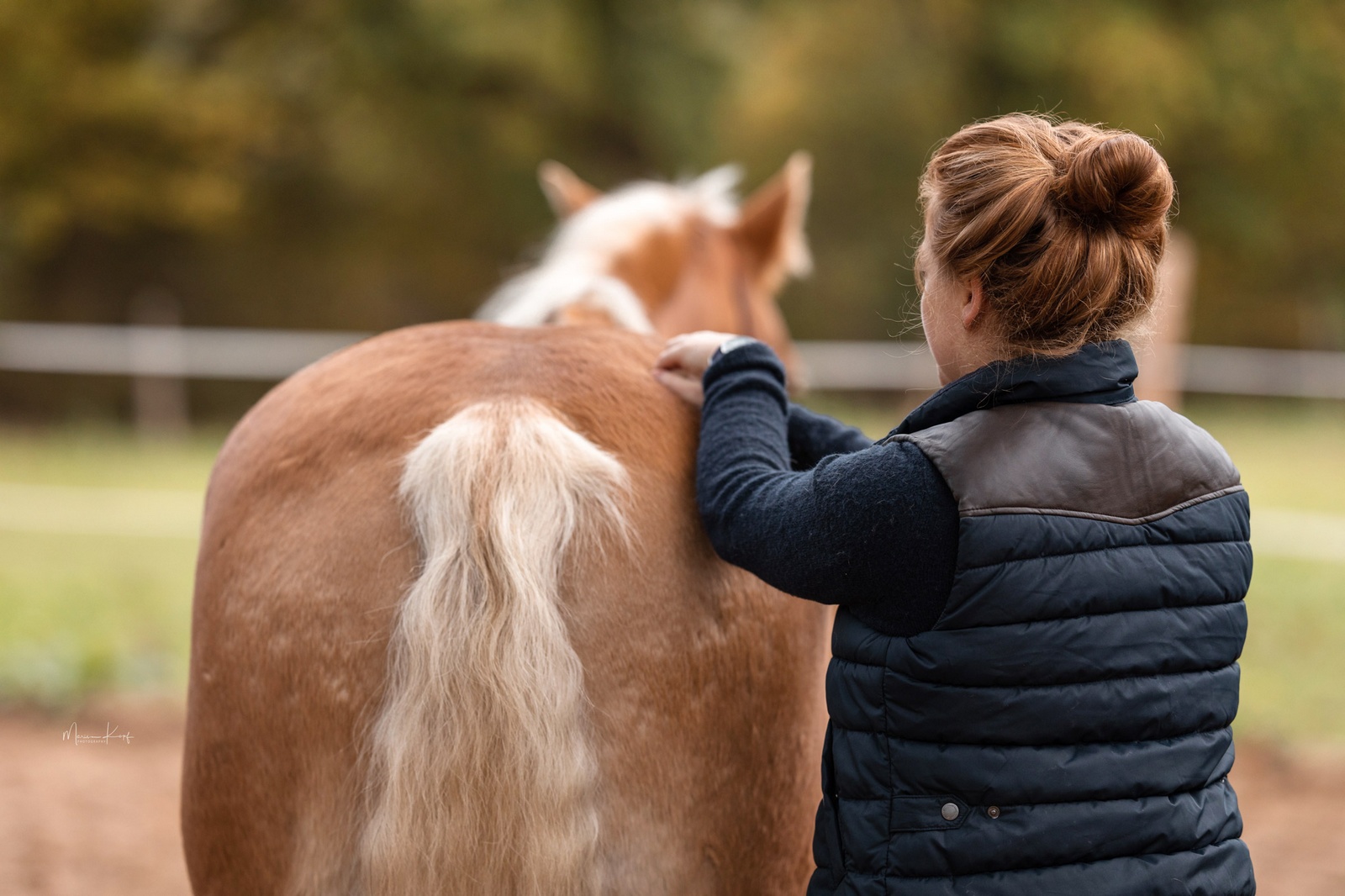 Palpieren in der Pferdetherapie
